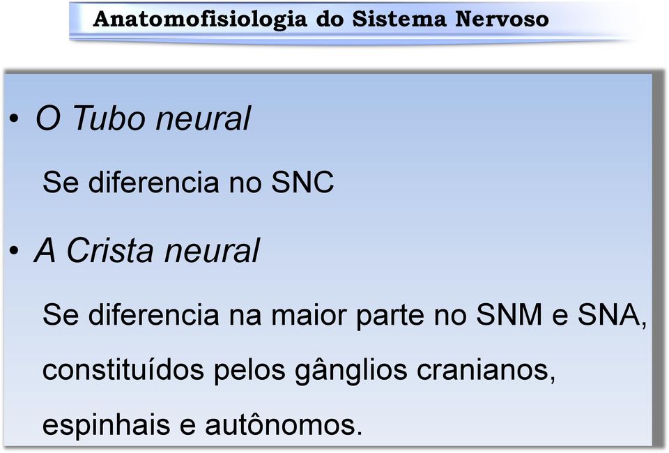 parte no SNM e SNA, constituídos pelos