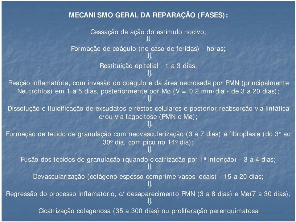 posterior reabsorção via linfática e/ou via fagocitose (PMN e Mø); Formação de tecido de granulação com neovascularização (3 a 7 dias) e fibroplasia (do 3 o ao 30 o dia, com pico no 14 o dia); Fusão