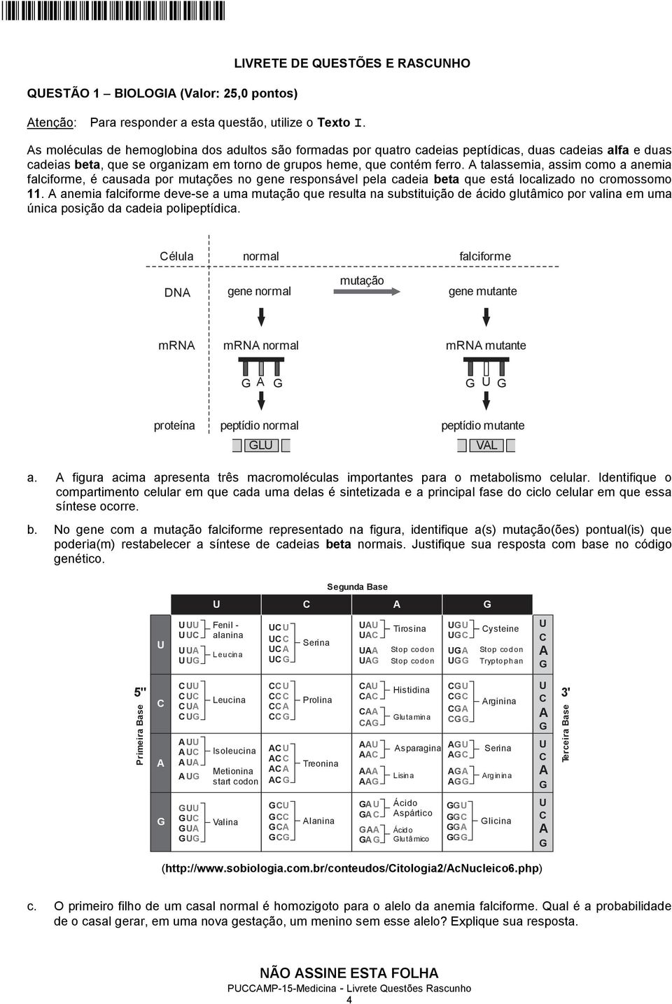 A talassemia, assim como a anemia falciforme, é causada por mutações no gene responsável pela cadeia beta que está localizado no cromossomo 11.