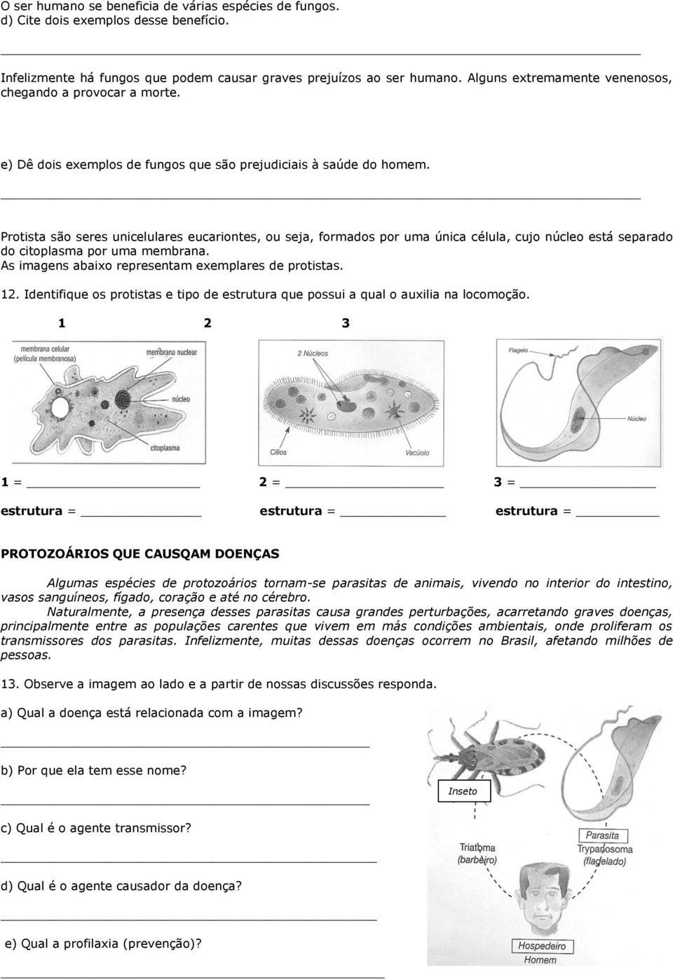 Protista são seres unicelulares eucariontes, ou seja, formados por uma única célula, cujo núcleo está separado do citoplasma por uma membrana. As imagens abaixo representam exemplares de protistas.