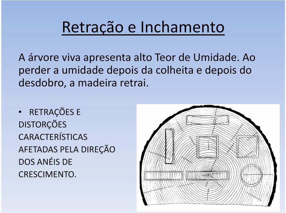 Ao perder a umidade depois da colheita e depois do