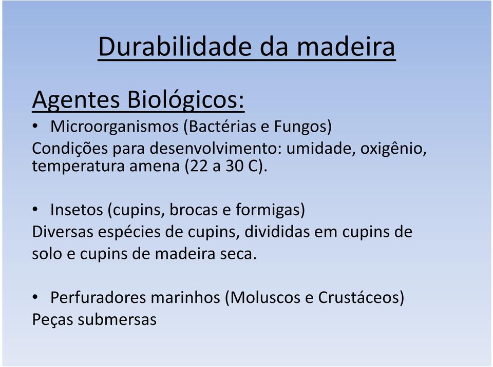 Insetos (cupins, brocas e formigas) Diversas espécies de cupins, divididas em cupins