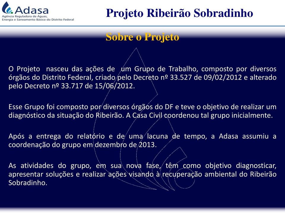 Esse Grupo foi composto por diversos órgãos do DF e teve o objetivo de realizar um diagnóstico da situação do Ribeirão.