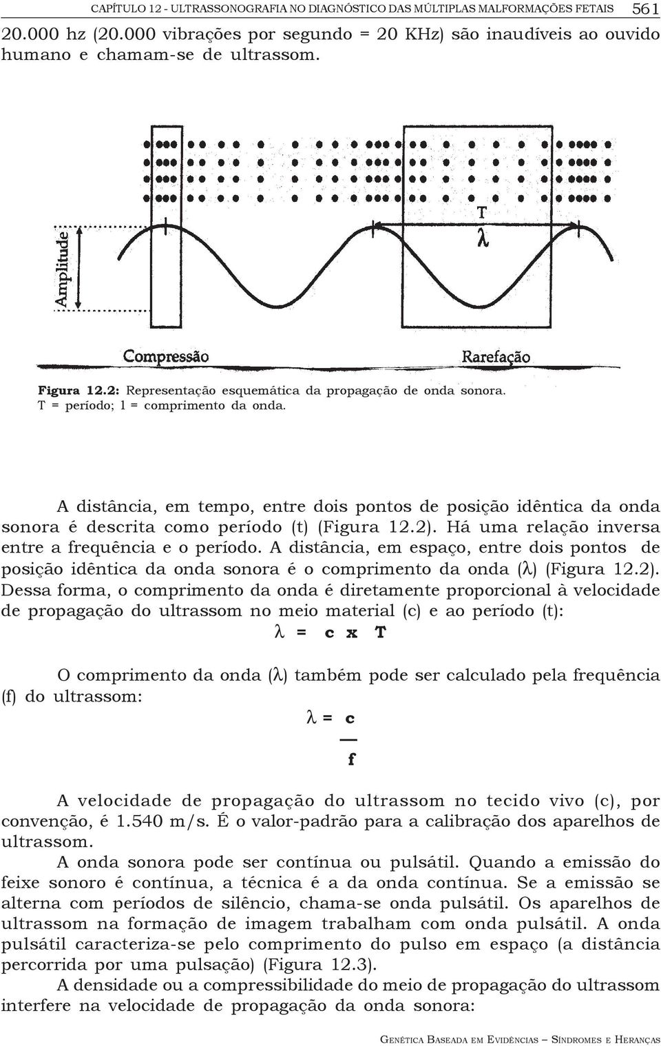 A distância, em tempo, entre dois pontos de posição idêntica da onda sonora é descrita como período (t) (Figura 12.2). Há uma relação inversa entre a frequência e o período.