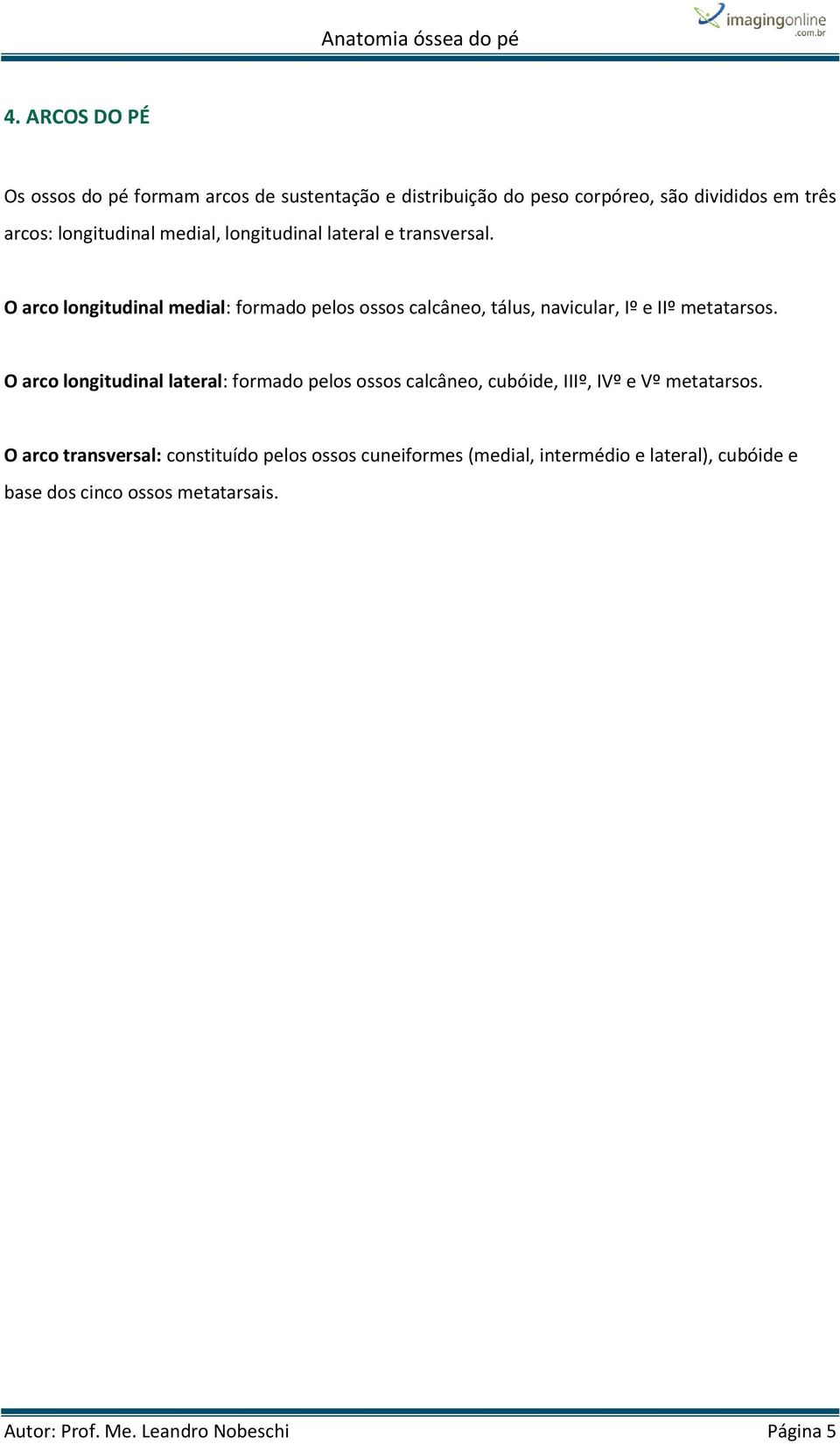 O arco longitudinal medial: formado pelos ossos calcâneo, tálus, navicular, Iº e IIº metatarsos.