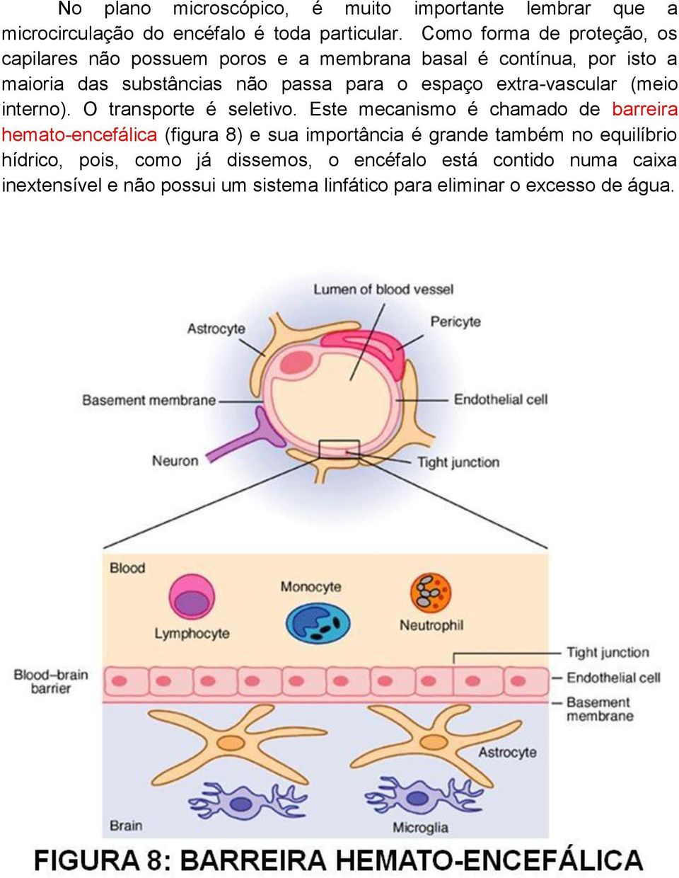 espaço extra-vascular (meio interno). O transporte é seletivo.