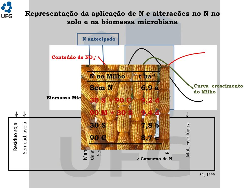 Conteúdo Conteúdo de NO de -NO - 3 3 Biomassa Biomassa Microbiana N no Milho t ha -1 Sem N 6,9 a 30 S + 90 C
