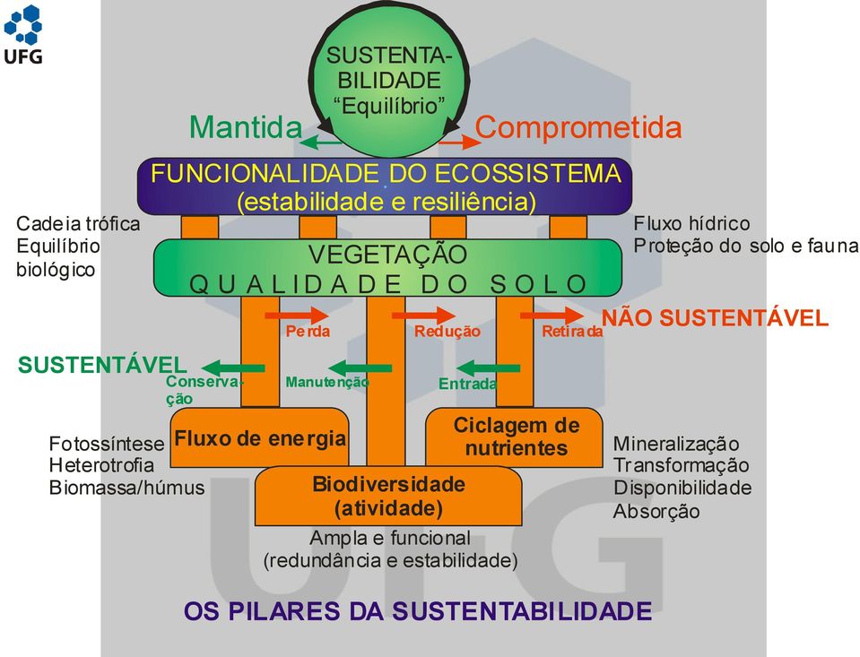 Perda Redução Retirada Fotossíntese Heterotrofia Biomassa/húmus Manutenção Fluxo de energia Biodiversidade (atividade) Entrada Ciclagem