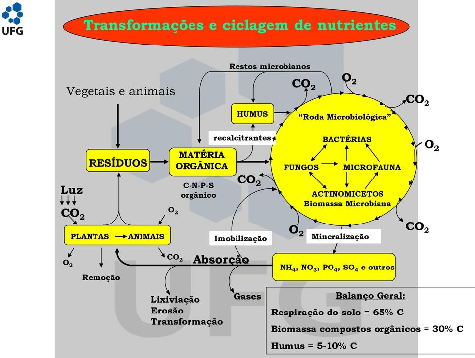 Biomassa Microbiana PLANTAS ANIMAIS Imobilização O 2 Mineralização CO 2 O 2 Remoção CO 2 Absorção NH 4, NO 3, PO 4, SO 4 e