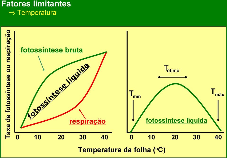 u q Tótimo Tmáx Tmin fotossíntese líquida