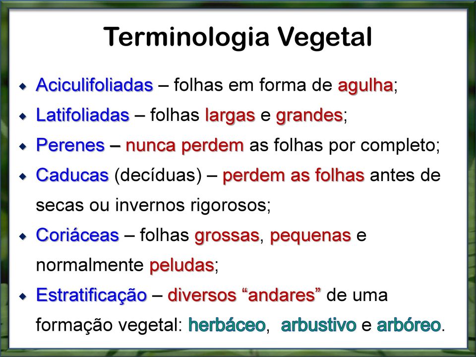 perdem as folhas antes de secas ou invernos rigorosos; Coriáceas folhas grossas,