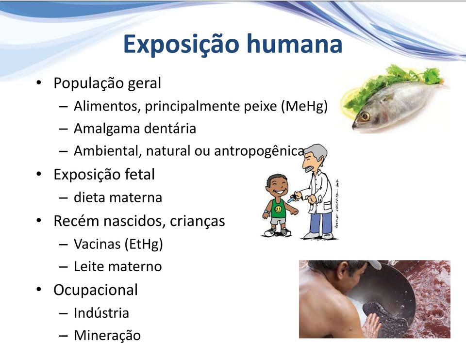 antropogênica Exposição fetal dieta materna Recém nascidos,