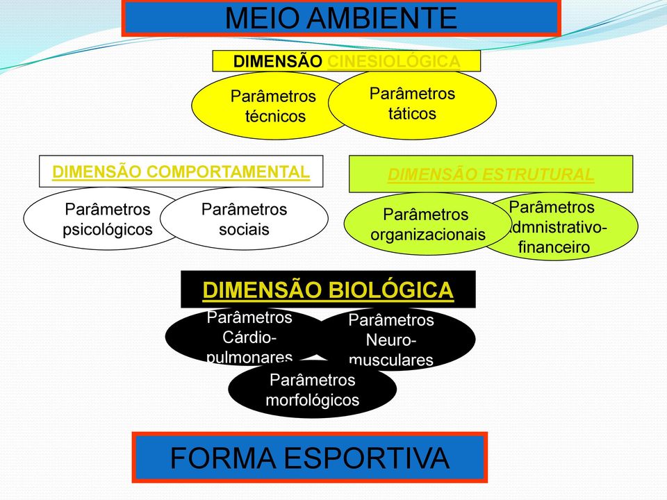 Parâmetros organizacionais Parâmetros Admnistrativofinanceiro DIMENSÃO BIOLÓGICA