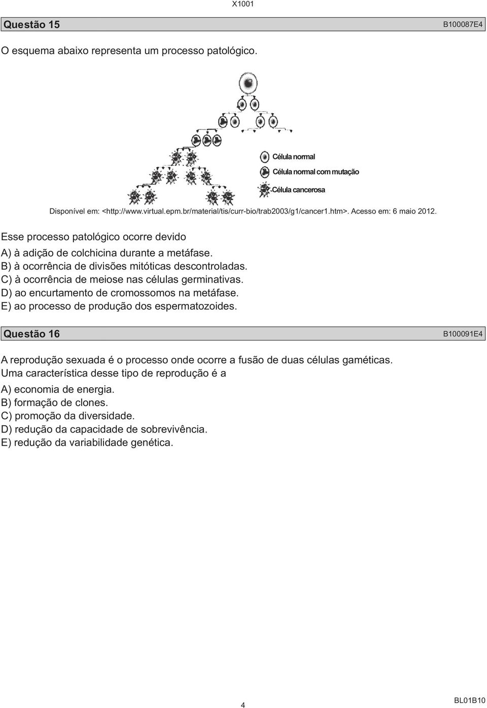 D) ao encurtamento de cromossomos na metáfase. E) ao processo de produção dos espermatozoides.