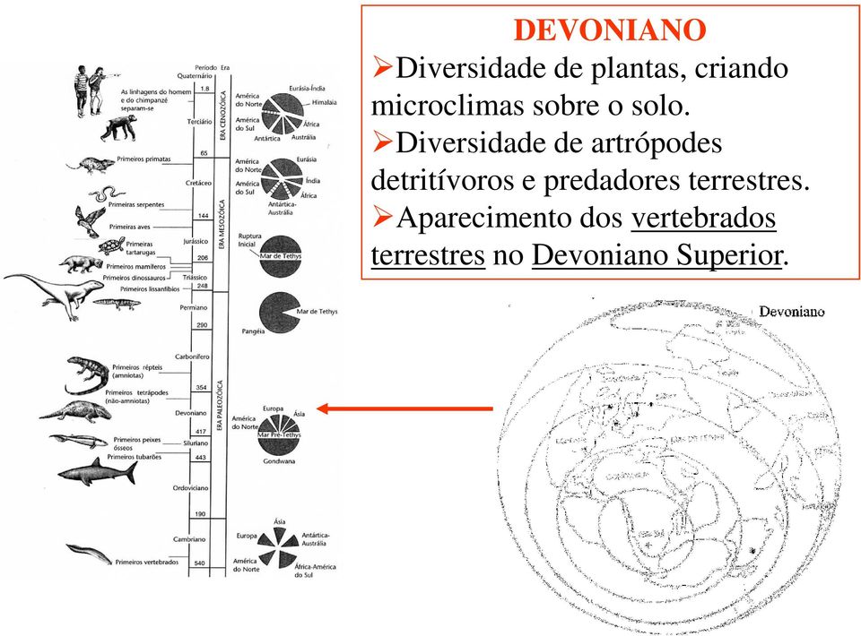 Diversidade de artrópodes detritívoros e