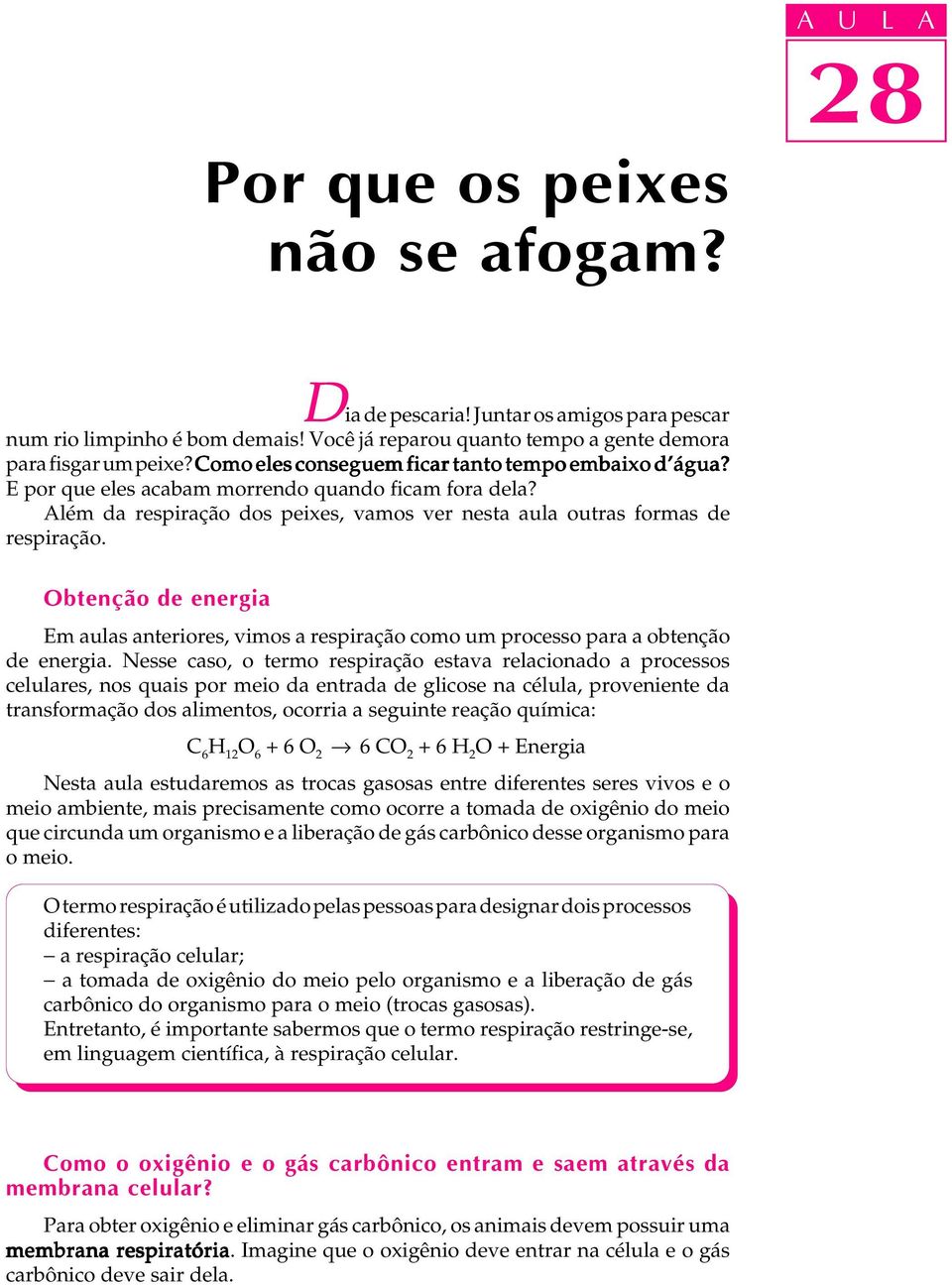 Obtenção de energia Em aulas anteriores, vimos a respiração como um processo para a obtenção de energia.