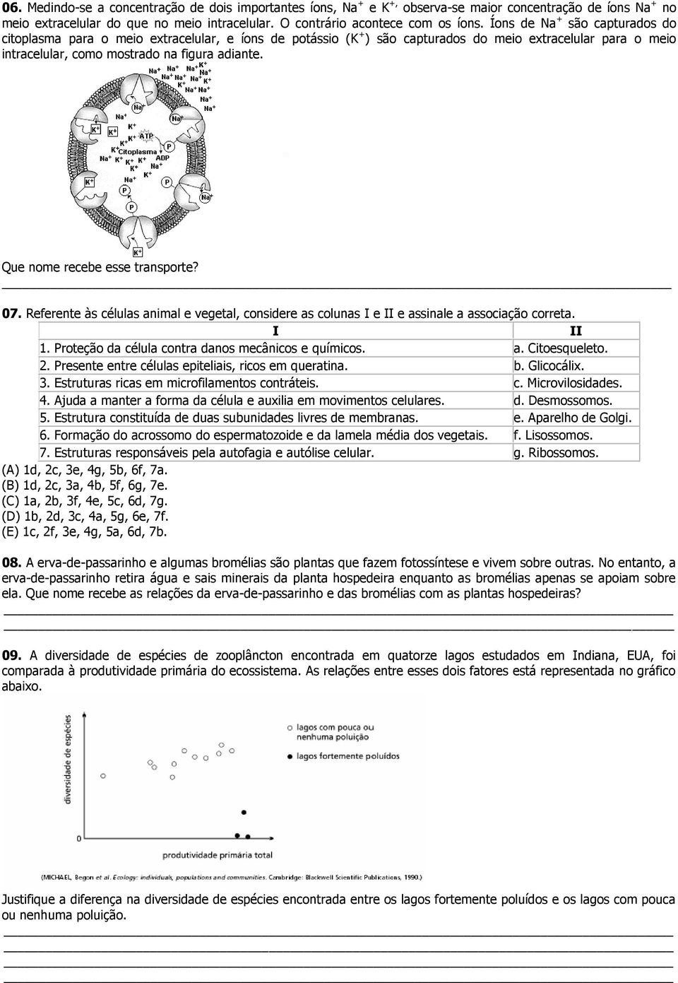 Que nome recebe esse transporte? 07. Referente às células animal e vegetal, considere as colunas I e II e assinale a associação correta. I II 1. Proteção da célula contra danos mecânicos e químicos.