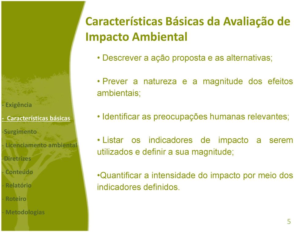 ambientais; Identificar as preocupações humanas relevantes; Listar os indicadores de impacto a serem