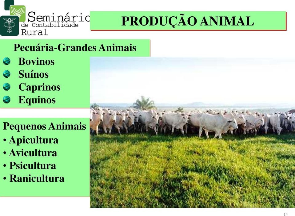 Animais Apicultura Avicultura