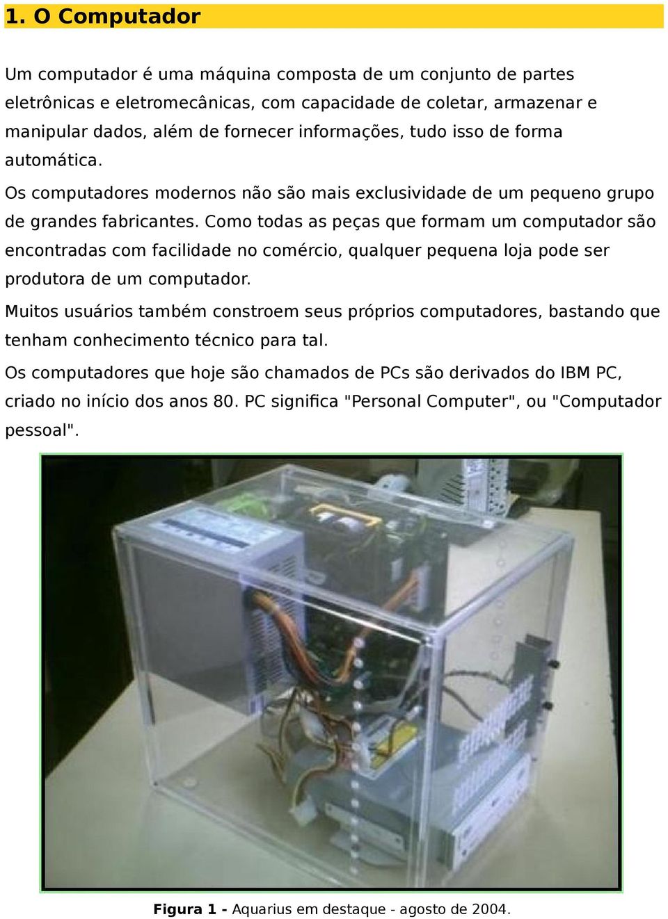 Como todas as peças que formam um computador são encontradas com facilidade no comércio, qualquer pequena loja pode ser produtora de um computador.