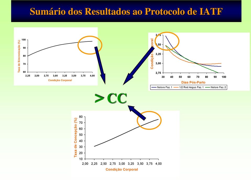 Condição Corporal > CC 2,75 30 40 50 60 70 80 90 100 Dias Pós-Parto Nelore Faz.