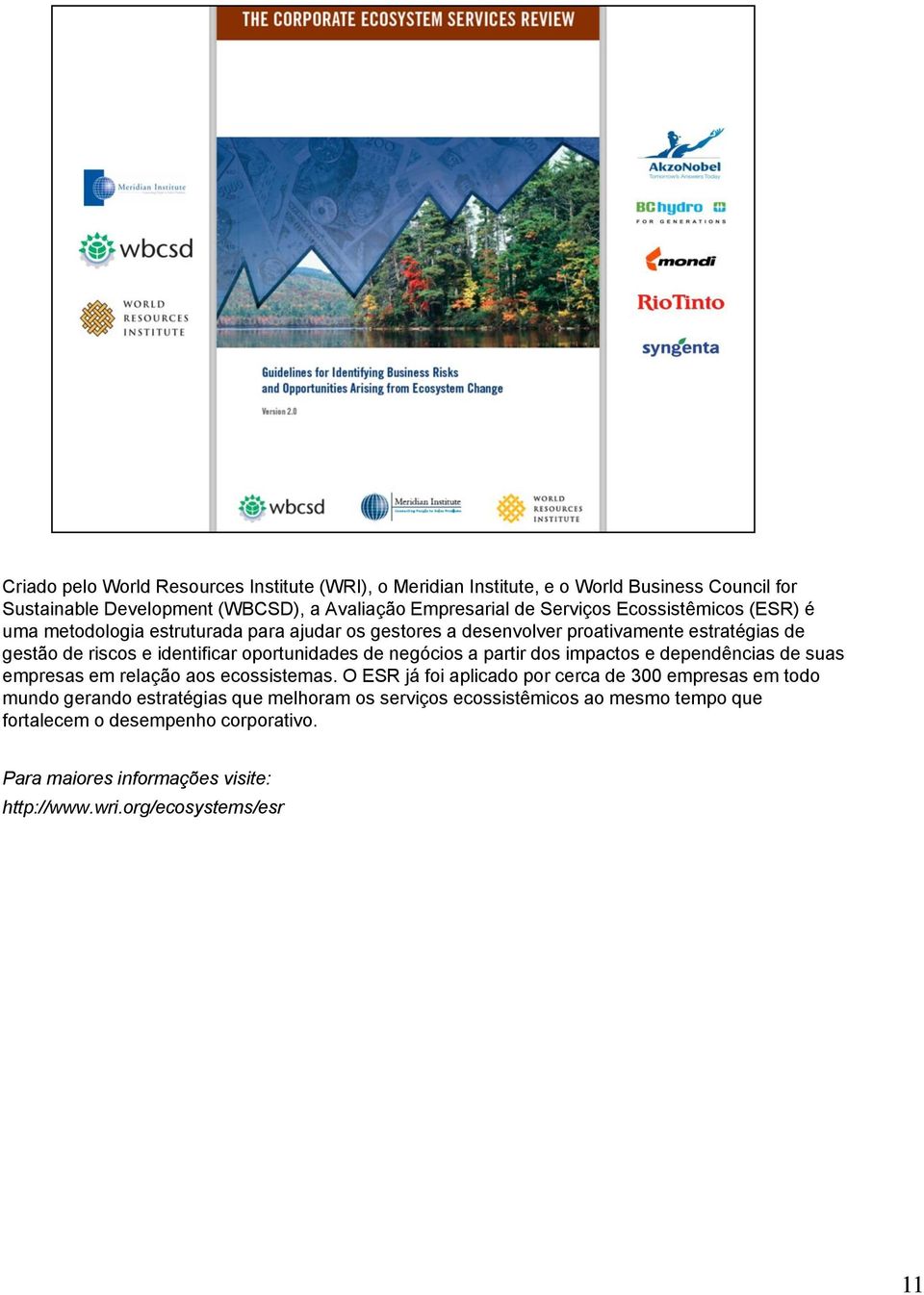 negócios a partir dos impactos e dependências de suas empresas em relação aos ecossistemas.