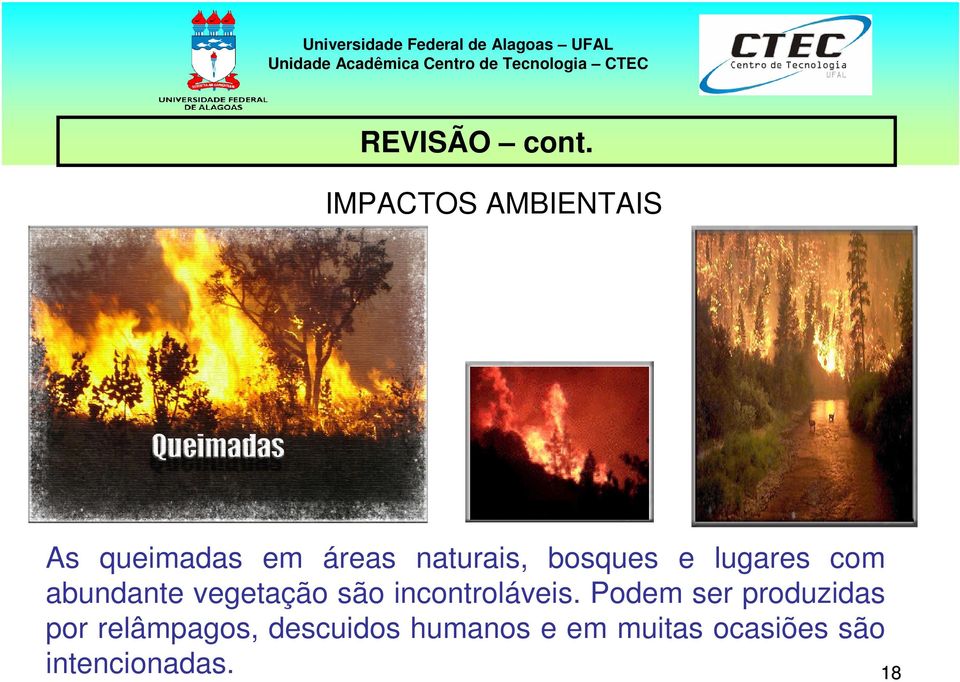 bosques e lugares com abundante vegetação são