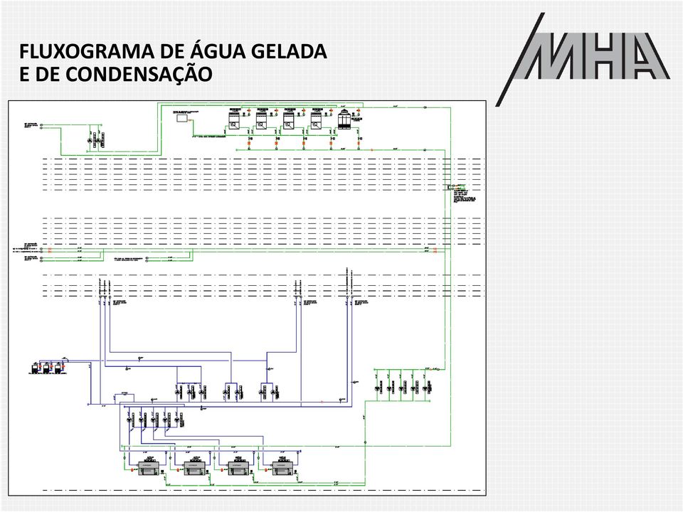 GELADA E