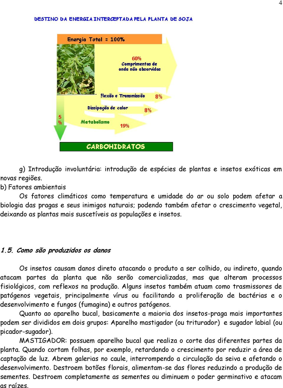 as plantas mais suscetíveis as populações e insetos. 1.5.