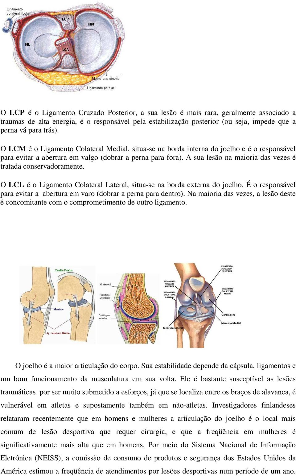 A sua lesão na maioria das vezes é tratada conservadoramente. O LCL é o Ligamento Colateral Lateral, situa-se na borda externa do joelho.