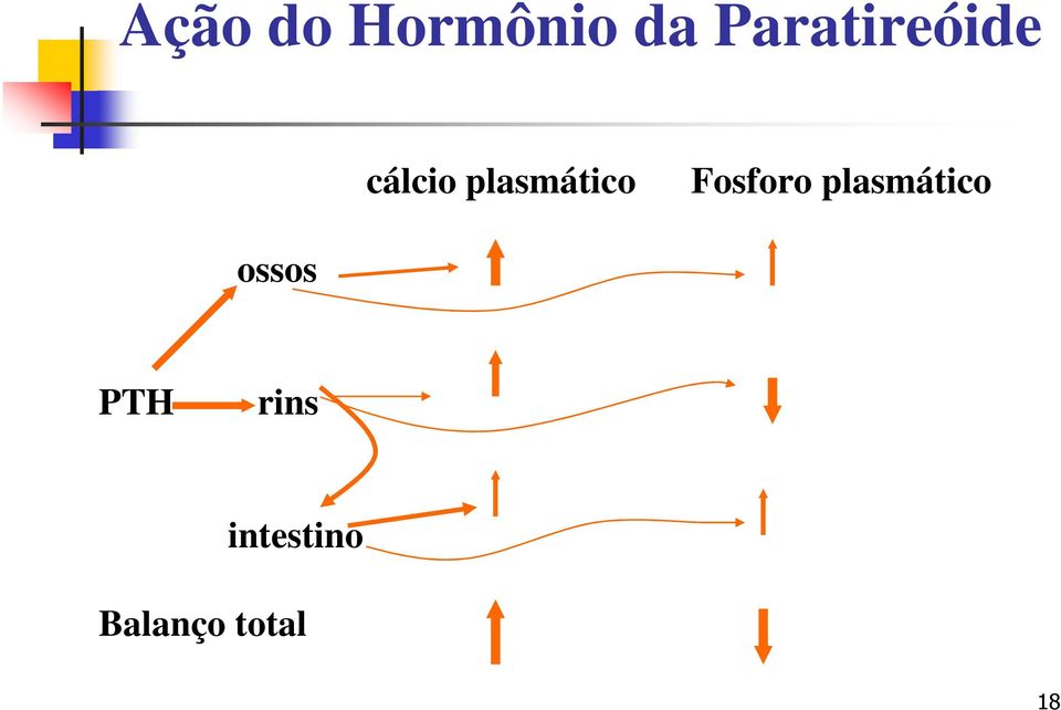 plasmático Fosforo