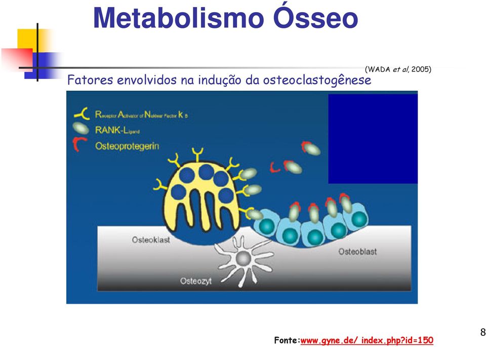 osteoclastogênese (WADA et al,
