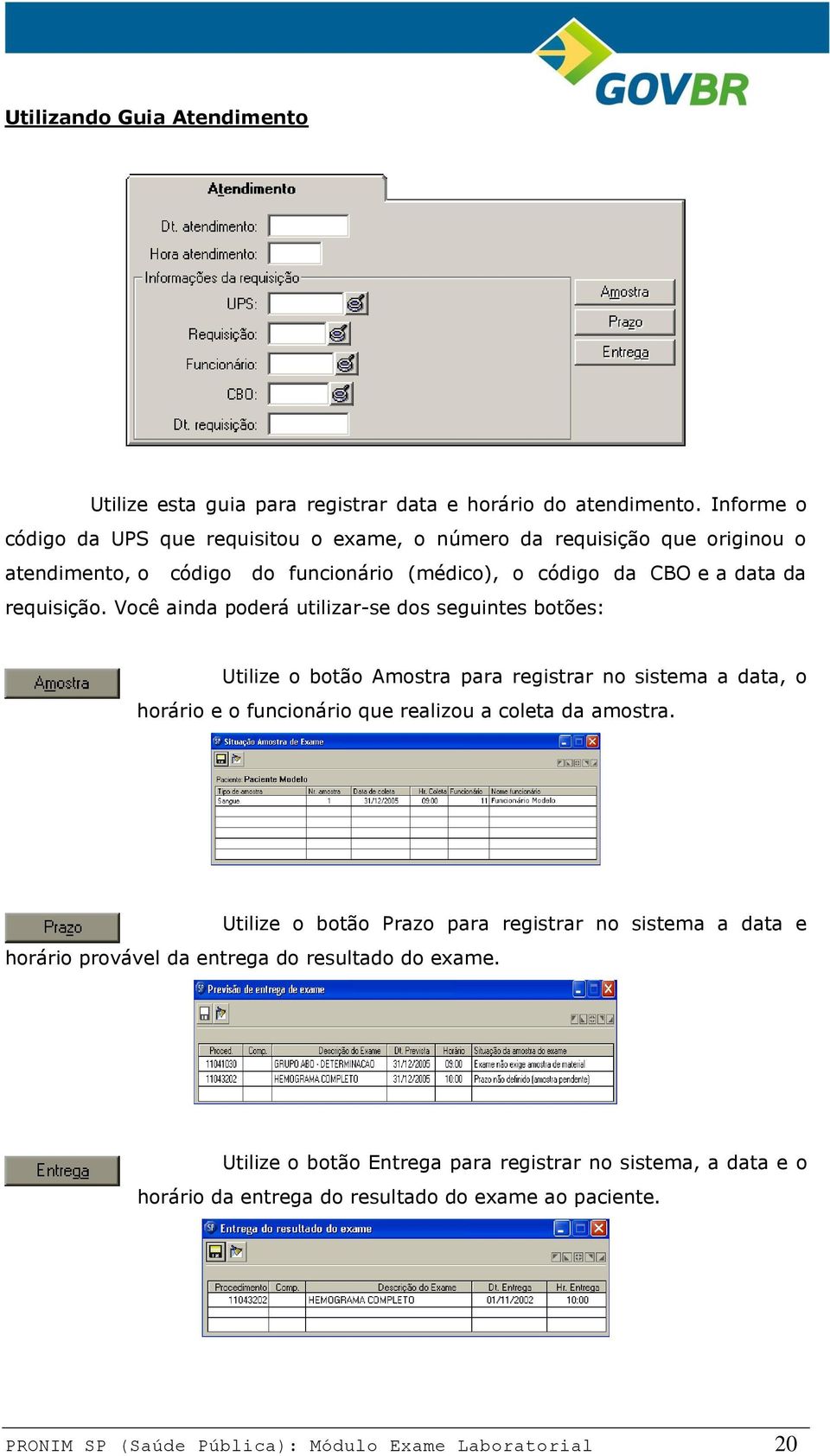 Você ainda poderá utilizar-se dos seguintes botões: Utilize o botão Amostra para registrar no sistema a data, o horário e o funcionário que realizou a coleta da amostra.