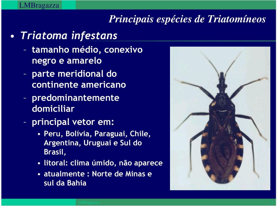 domiciliar principal vetor em: Peru, Bolívia, Paraguai, Chile, Argentina, Uruguai