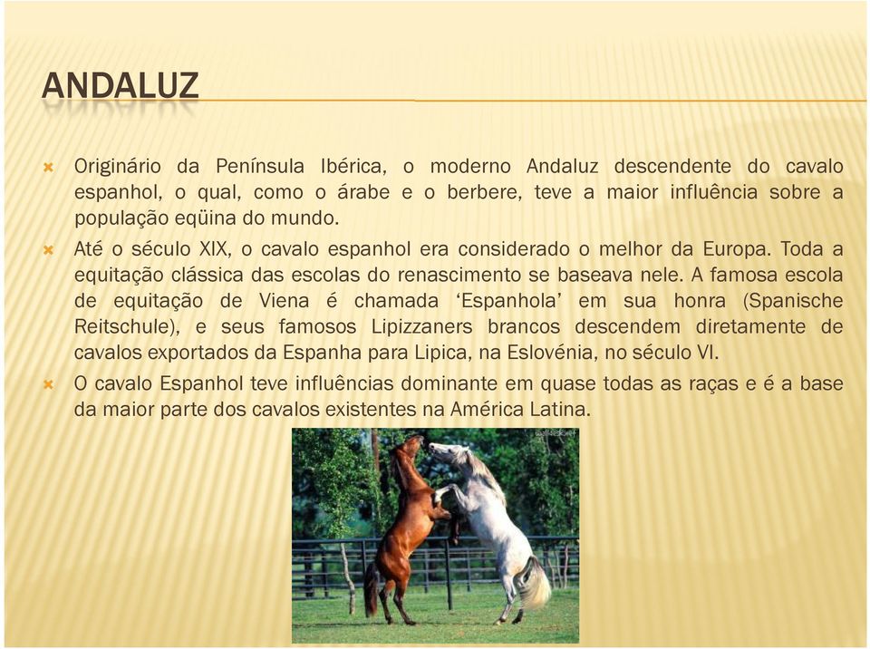 A famosa escola de equitação de Viena é chamada Espanhola em sua honra (Spanische Reitschule), e seus famosos Lipizzaners brancos descendem diretamente de cavalos
