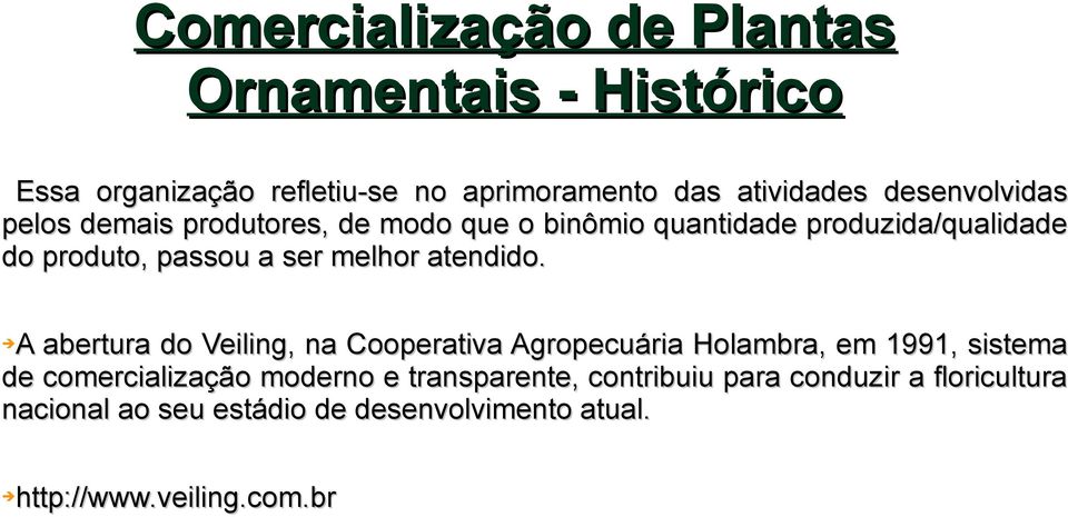 A abertura do Veiling, na Cooperativa Agropecuária Holambra, em 1991, sistema de comercialização moderno e