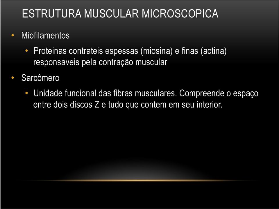 muscular Sarcômero Unidade funcional das fibras musculares.