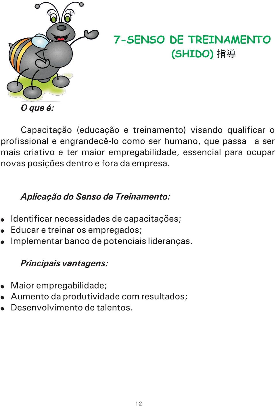 Aplicação do Senso de Treinamento: Identificar necessidades de capacitações; Educar e treinar os empregados; Implementar banco de