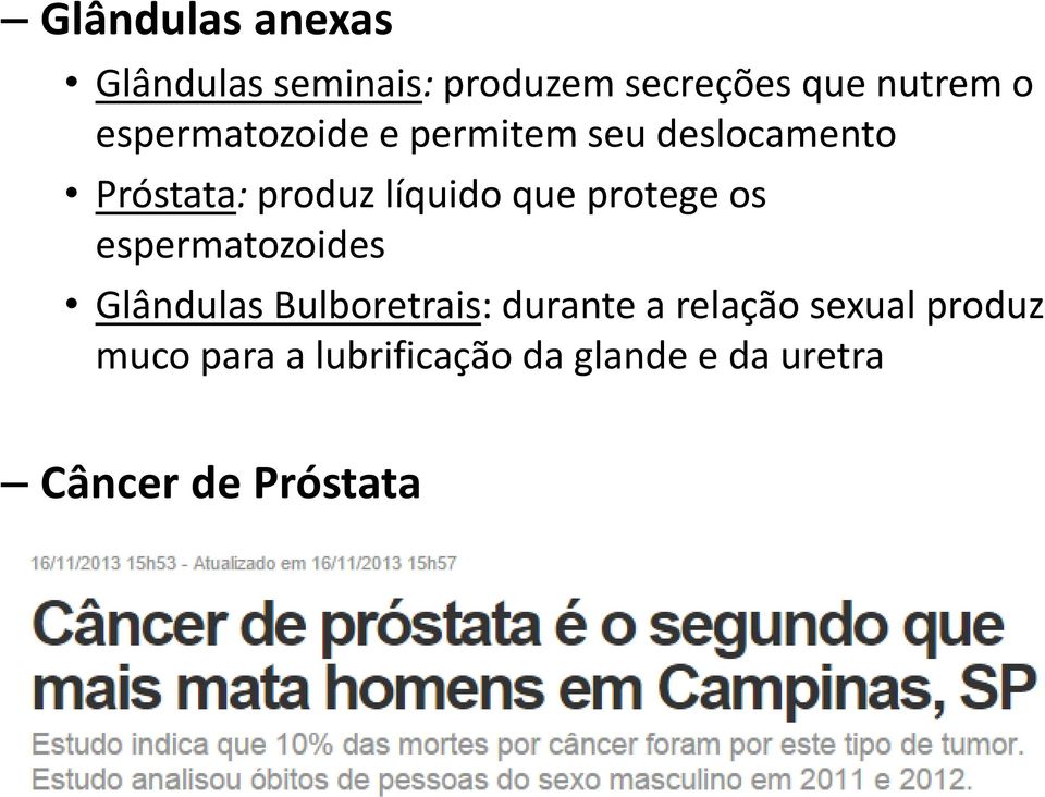 protege os espermatozoides Glândulas Bulboretrais: durante a relação