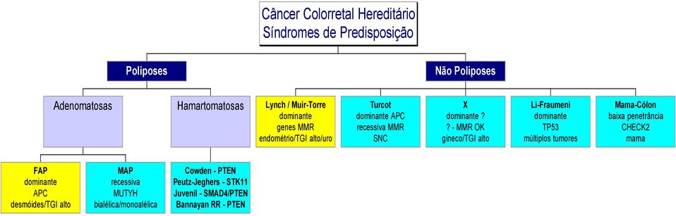 ? - MMR OK gineco/tgi alto Li-Fraumeni dominante TP53 múltiplos tumores Mama-Cólon baixa penetrância CHECK2 mama FAP