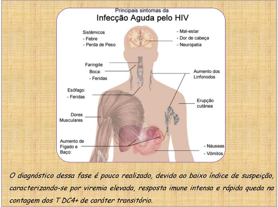 por viremia elevada, resposta imune intensa e