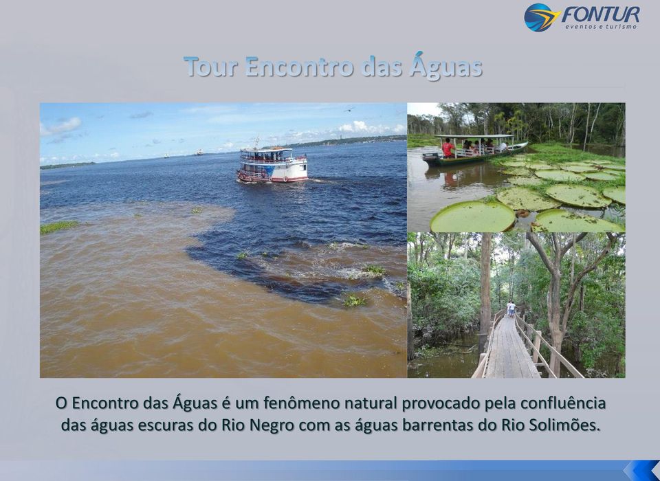 das águas escuras do Rio Negro com