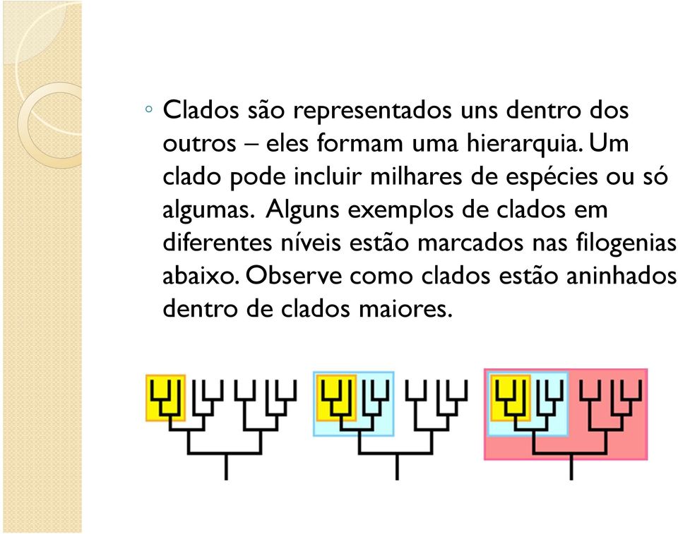 Alguns exemplos de clados em diferentes níveis estão marcados nas