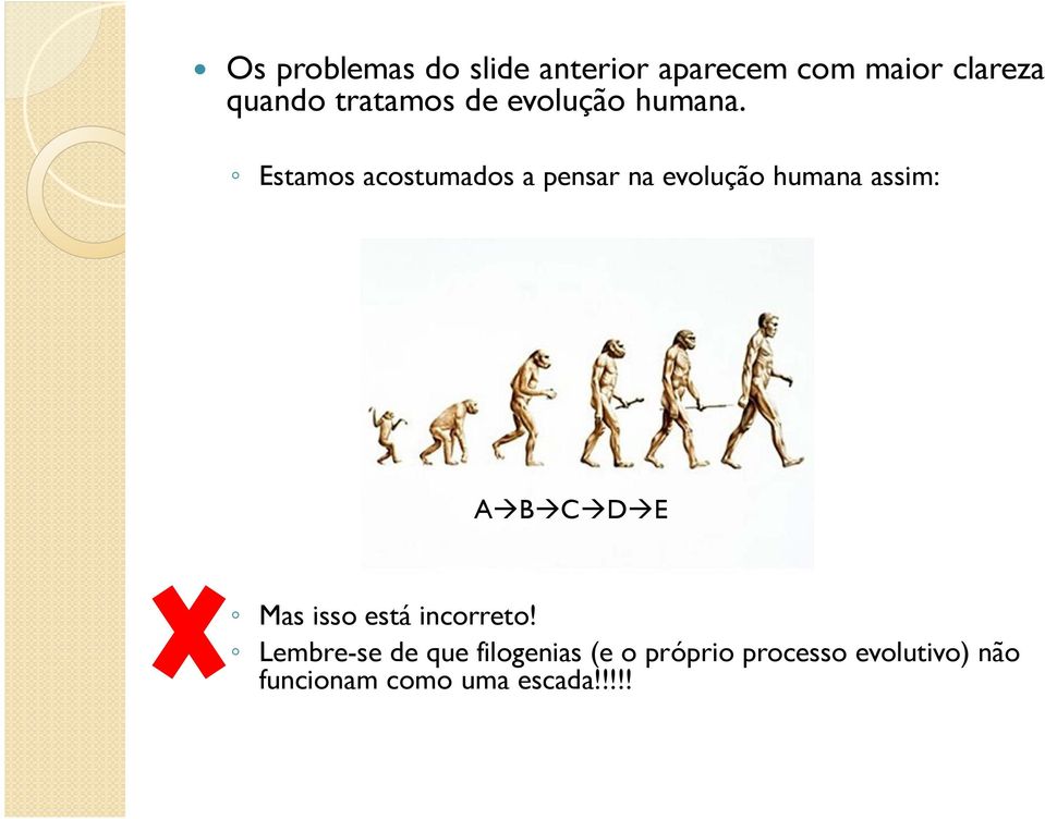 Estamos acostumados a pensar na evolução humana assim: A B C D E Mas