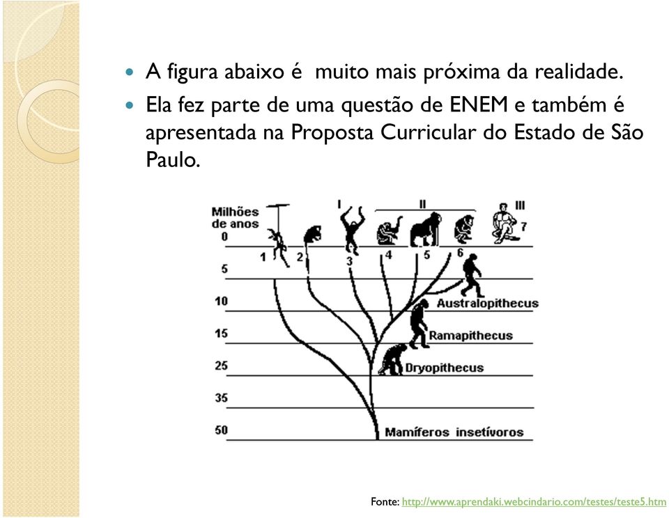 apresentada na Proposta Curricular do Estado de São