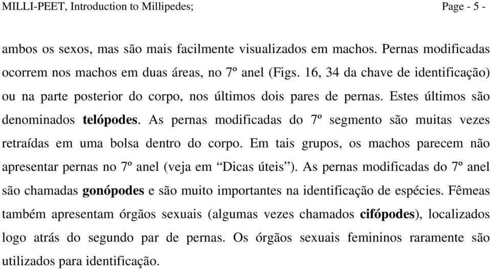 As pernas modificadas do 7º segmento são muitas vezes retraídas em uma bolsa dentro do corpo. Em tais grupos, os machos parecem não apresentar pernas no 7º anel (veja em Dicas úteis ).