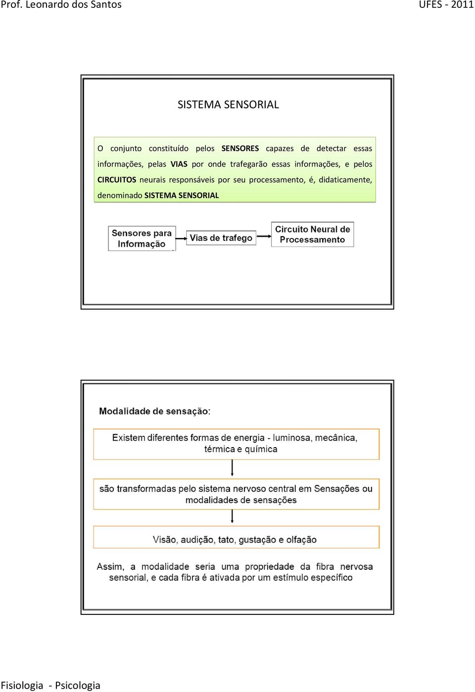 essas informações, e pelos CIRCUITOS neurais responsáveis por