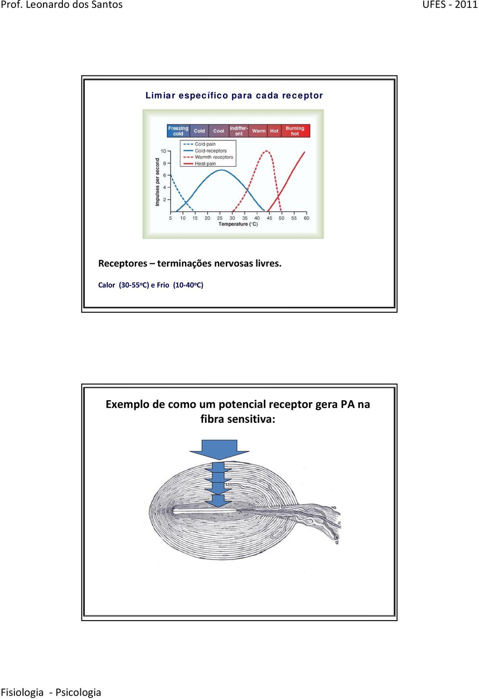 Calor (30 55 o C) e Frio (10 40 o C) Exemplo