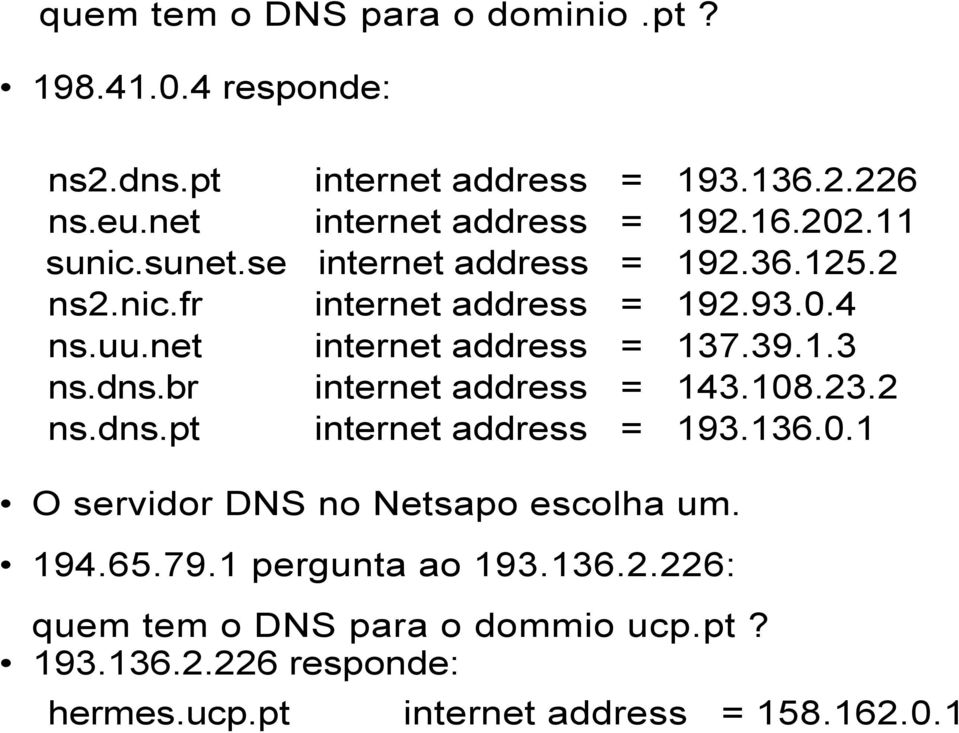 1.3 ns.dns.br internet address = 143.108.23.2 ns.dns.pt internet address = 193.136.0.1 O servidor DNS no Netsapo escolha um. 194.65.