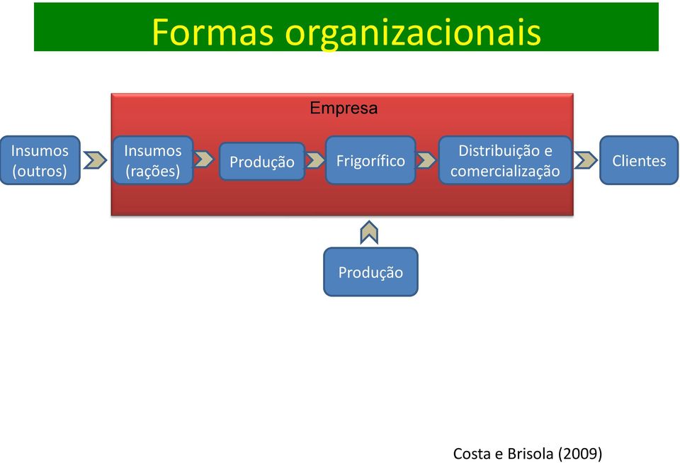 Frigorífico Distribuição e